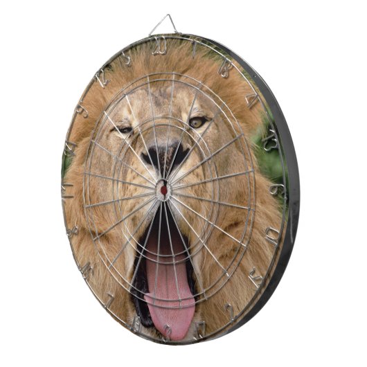 Lion Dartbord (Voorkant Rechts)