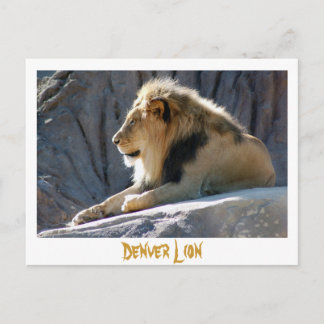 lion, Denver Lion Briefkaart