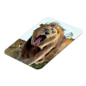 Lion die uit zijn tong steekt magneet (Linkerzijde)