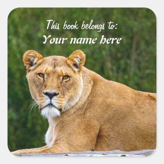 Lion "Dit boek behoort tot" Sticker (Voorkant)
