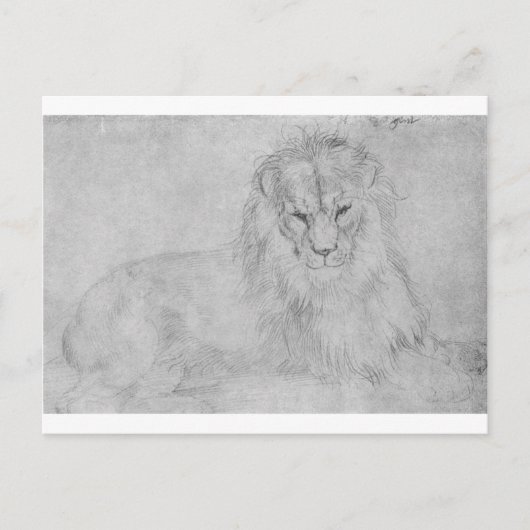 Lion door Albrecht Durer Briefkaart (Voorkant)