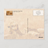 Lion en cub, Tsavo, Kenia Briefkaart (Achterkant)