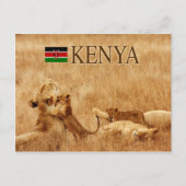 Lion en cub, Tsavo, Kenia Briefkaart (Voorkant)