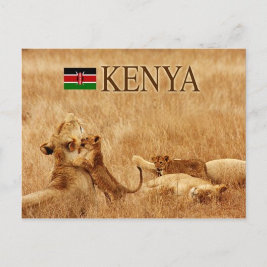 Lion en cub, Tsavo, Kenia Briefkaart (Voorkant)