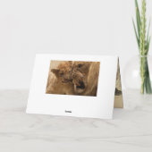 Lion en Cub Vaderdag Kaart (Achterkant)