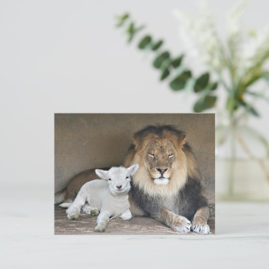Lion en Lamb Briefkaart (Staand voorkant)