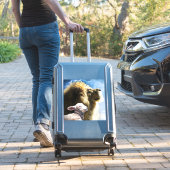 Lion en Lamb Vinyl Sticker (Koffer Insitu)