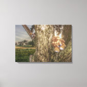 Lion en Leopard zijn Friends Canvas Print (Voorkant)