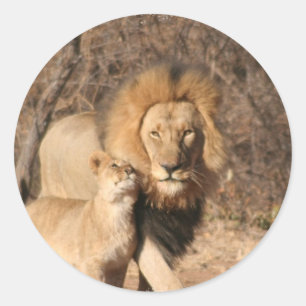 Lion en Lion Cub Sticker