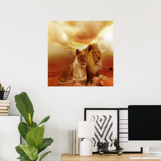 Lion en Lioness 24 x 24 inch, waardevol Poster pap (Thuiskantoor)