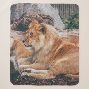 LION EN LIONESS DIE OP HET BROEIENDE OPPERVLAK LIG SHERPA DEKEN
