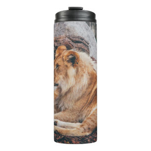 LION EN LIONESS DIE OP HET BROEIENDE OPPERVLAK LIG THERMOSBEKER