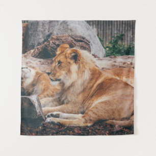 LION EN LIONESS DIE OP HET BROEIENDE OPPERVLAK LIG WANDKLEED