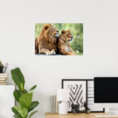 Lion en Lioness Pair Poster (Thuiskantoor)