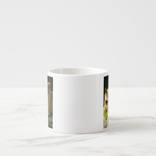 Lion Espresso Kop (Voorkant)