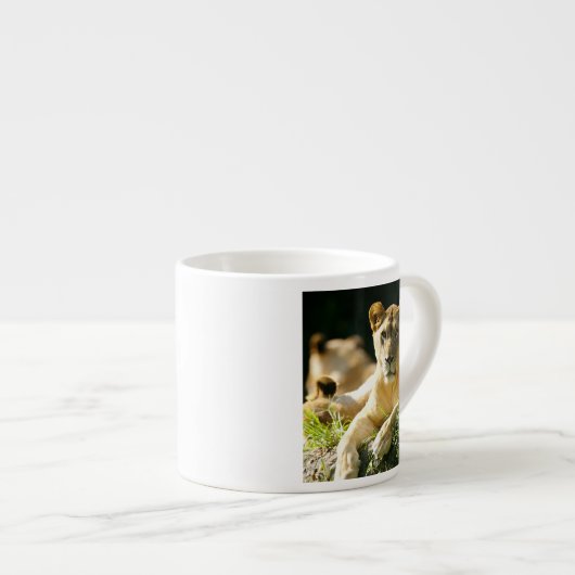 Lion Espresso Kop (Voorkant rechts)