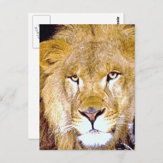 Lion Eyes Briefkaart (Voorkant / Achterkant)