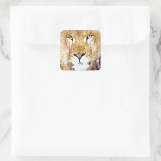 Lion Eyes Square Sticker (Tas)