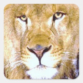 Lion Eyes Square Sticker (Voorkant)
