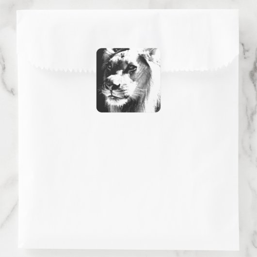 Lion Eyes Vierkante Sticker (Tas)