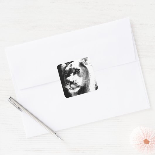 Lion Eyes Vierkante Sticker (Envelop)