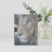 Lion Face Briefkaart (Staand voorkant)