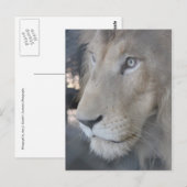 Lion Face Briefkaart (Voorkant / Achterkant)