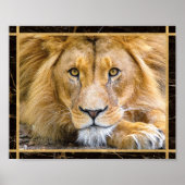 Lion Face Closeup Bright Photo Afbeelding Print Po (Voorkant)