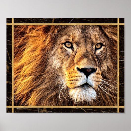 Lion Face Closeup Photo Afbeelding Print Poster (Voorkant)