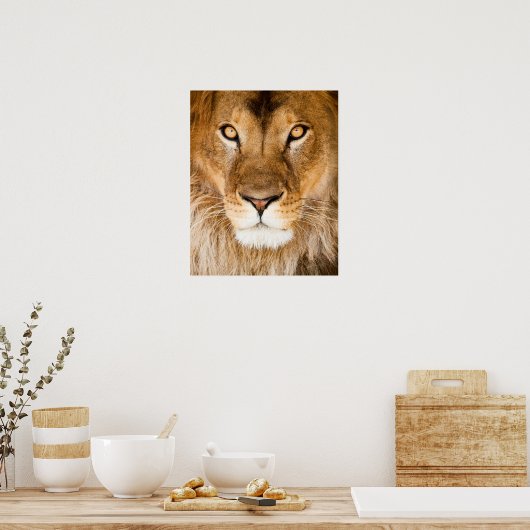 Lion Face Closeup Poster (Keuken)