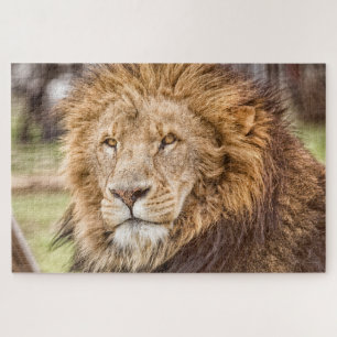 Lion Face Puzzle Large Legpuzzel