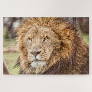 Lion Face Puzzle Large Legpuzzel