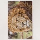 Lion Face Puzzle Large Legpuzzel (Verticaal)