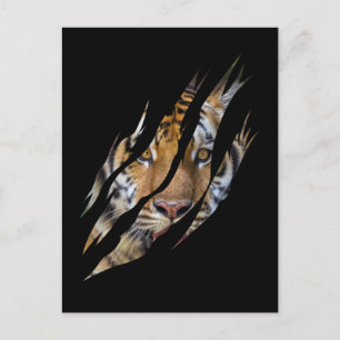 Lion Face Tiger Safari Claw Torn Briefkaart