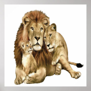 Lion Family Art Wildlife Poster