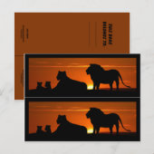 Lion Family Book Markers Briefkaart (Voorkant / Achterkant)