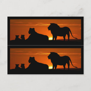 Lion Family Book Markers Briefkaart