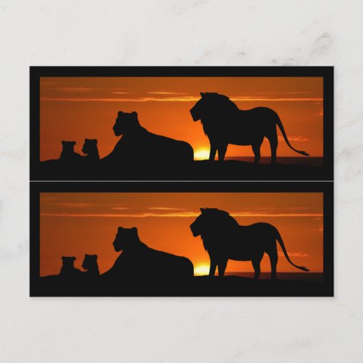 Lion Family Book Markers Briefkaart (Voorkant)