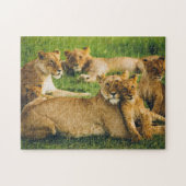 Lion Family Moeder Cubs Baby Lions Oerwoud Savanna Legpuzzel (Horizontaal)