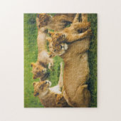 Lion Family Moeder Cubs Baby Lions Oerwoud Savanna Legpuzzel (Verticaal)