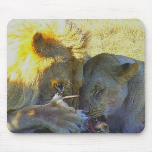 Lion Feast Wildlife Fotografie Muismat (Voorkant)