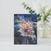 Lion Fish, Adventure Aquarium Briefkaart (Staand voorkant)