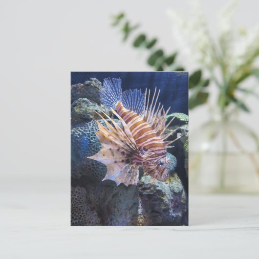 Lion Fish, Adventure Aquarium Briefkaart (Staand voorkant)