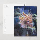 Lion Fish, Adventure Aquarium Briefkaart (Voorkant / Achterkant)