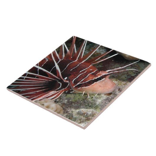 Lion Fish Tile Tegeltje (Zijkant)