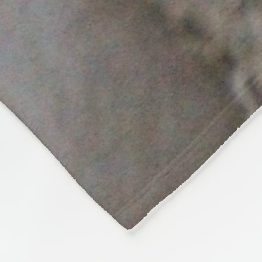 Lion Fleece Blanket (Hoek)