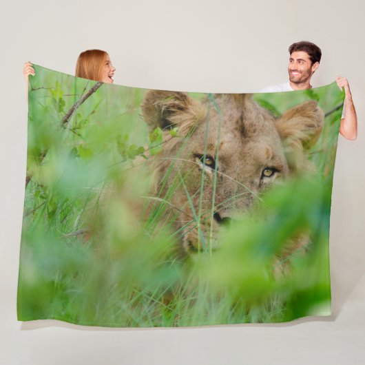 Lion Fleece Blanket (In situ)