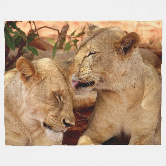 Lion Fleece Blanket (Voorkant (Horizontaal))