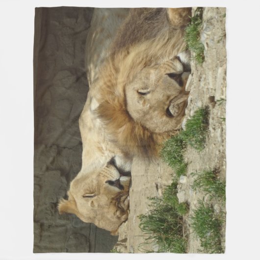 Lion Fleece Blanket (Voorkant)