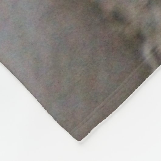 Lion Fleece Blanket Deken (Hoek)